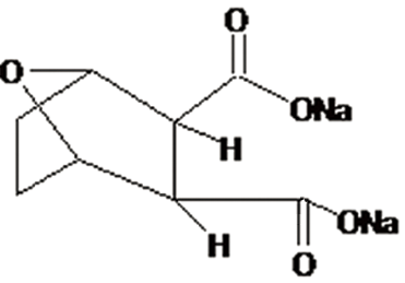 圖片1.png 圖片1.png